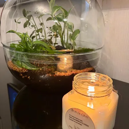 Robertsau, Jardin En Lägenhet *