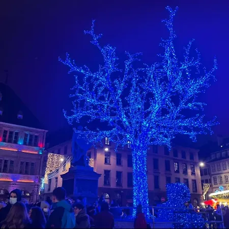 Robertsau, Jardin En Strasburgo