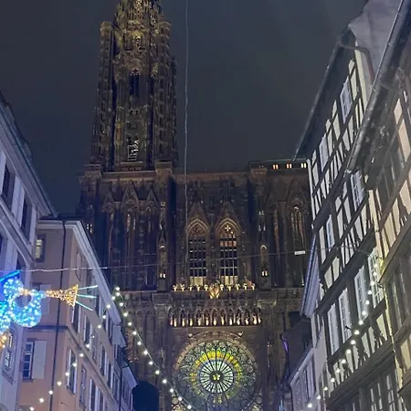 Robertsau, Jardin En Appartamento Strasburgo