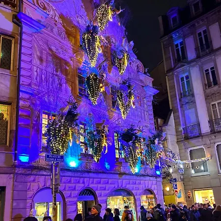 Apartment Robertsau, Jardin En Straßburg