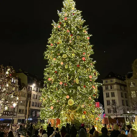 Robertsau, Jardin En Apartment