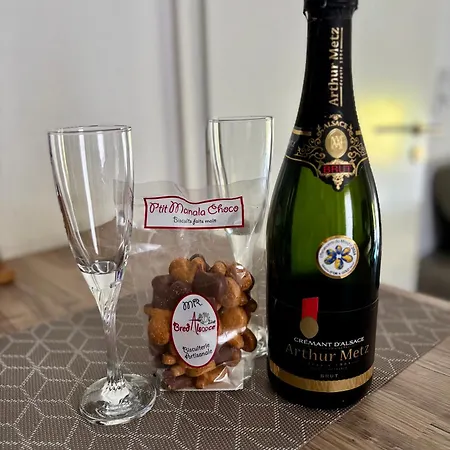 Robertsau, Jardin En Apartment