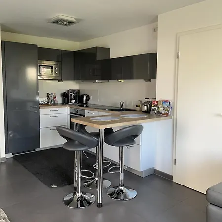 Apartment Robertsau, Jardin En