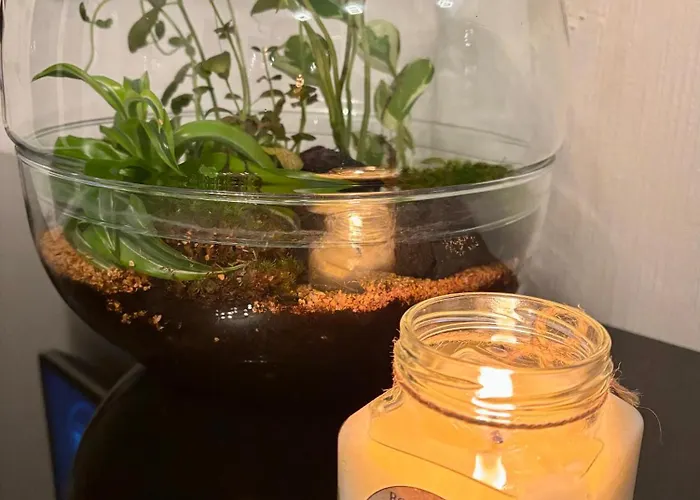 Robertsau, Jardin En Apartment *