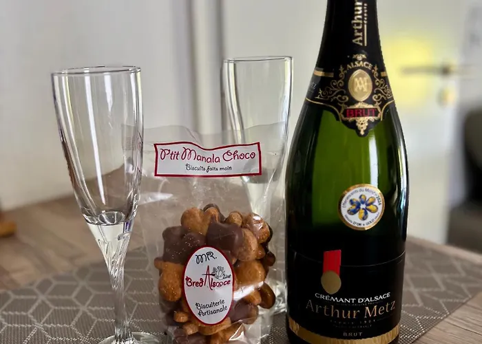 Robertsau, Jardin En Apartment