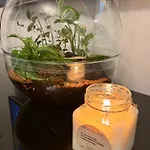 Robertsau, Jardin En شقة *