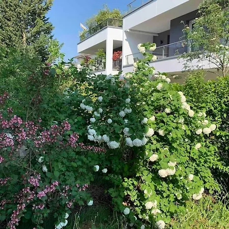 Robertsau, Jardin En